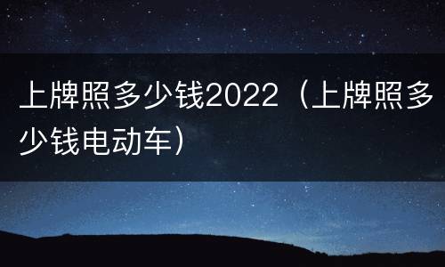 上牌照多少钱2022（上牌照多少钱电动车）