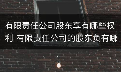 有限责任公司股东享有哪些权利 有限责任公司的股东负有哪些义务?