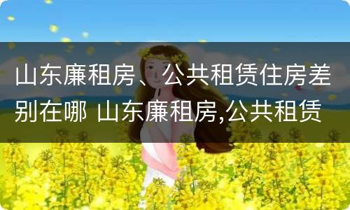 山东廉租房、公共租赁住房差别在哪 山东廉租房,公共租赁住房差别在哪儿