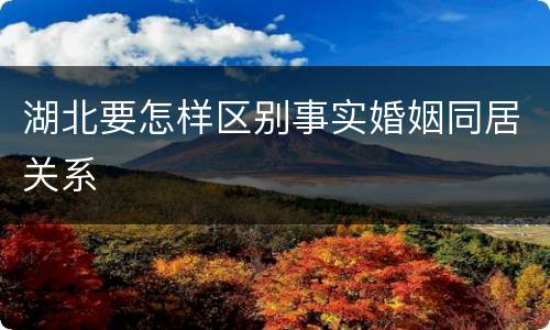 湖北要怎样区别事实婚姻同居关系