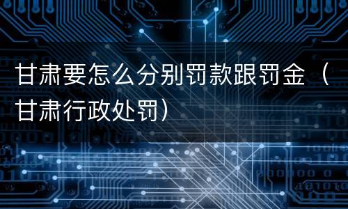 甘肃要怎么分别罚款跟罚金（甘肃行政处罚）