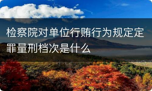 检察院对单位行贿行为规定定罪量刑档次是什么