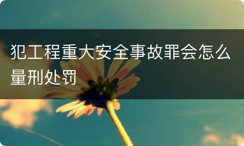 犯工程重大安全事故罪会怎么量刑处罚