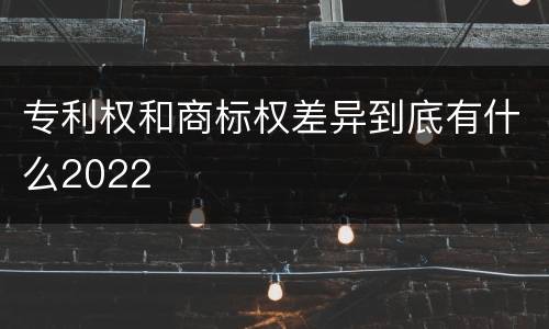专利权和商标权差异到底有什么2022
