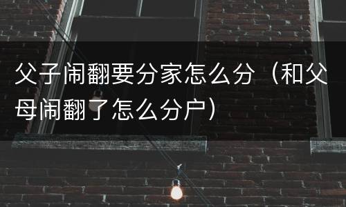 父子闹翻要分家怎么分（和父母闹翻了怎么分户）