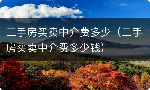 二手房买卖中介费多少（二手房买卖中介费多少钱）