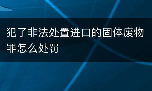 犯了非法处置进口的固体废物罪怎么处罚