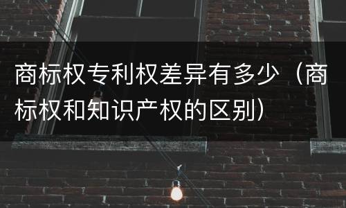 商标权专利权差异有多少（商标权和知识产权的区别）
