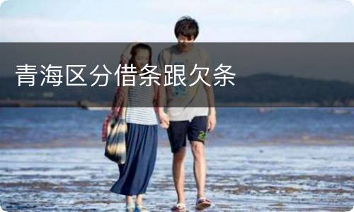 青海区分借条跟欠条