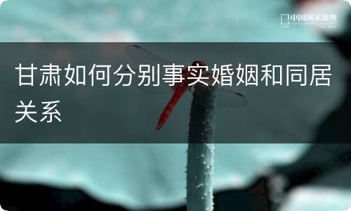 甘肃如何分别事实婚姻和同居关系
