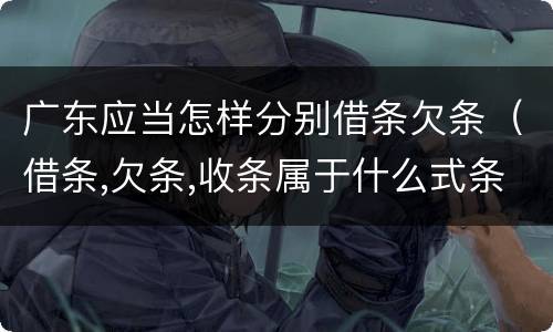 广东应当怎样分别借条欠条（借条,欠条,收条属于什么式条据）
