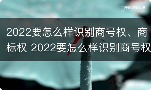 2022要怎么样识别商号权、商标权 2022要怎么样识别商号权,商标权呢