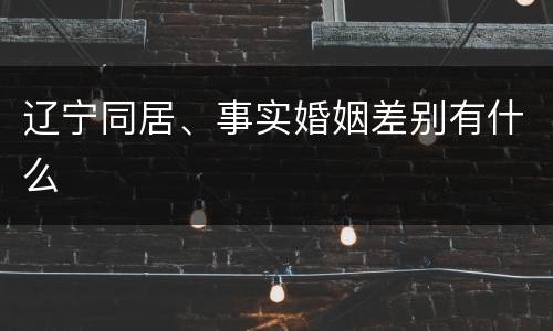 辽宁同居、事实婚姻差别有什么