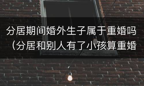 分居期间婚外生子属于重婚吗（分居和别人有了小孩算重婚吗）