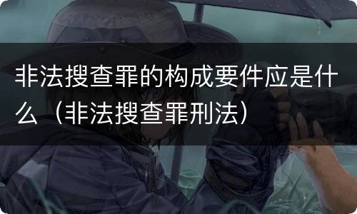 非法搜查罪的构成要件应是什么（非法搜查罪刑法）