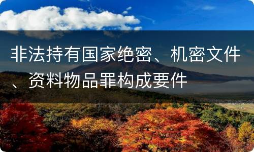 非法持有国家绝密、机密文件、资料物品罪构成要件