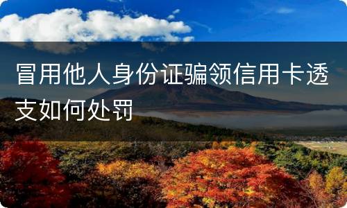冒用他人身份证骗领信用卡透支如何处罚