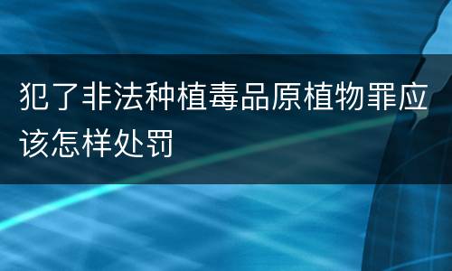犯了非法种植毒品原植物罪应该怎样处罚