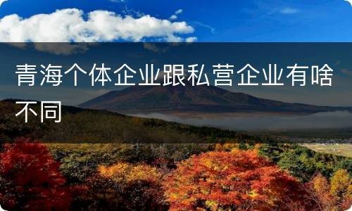 青海个体企业跟私营企业有啥不同