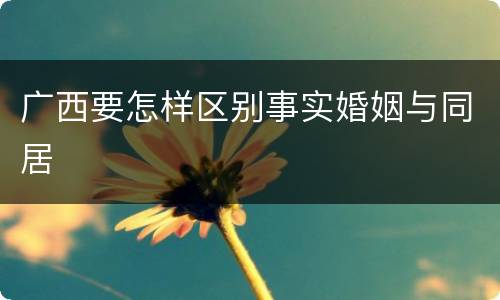 广西要怎样区别事实婚姻与同居