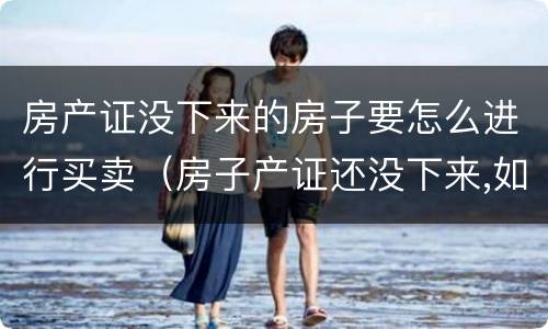 房产证没下来的房子要怎么进行买卖（房子产证还没下来,如何进行买卖）