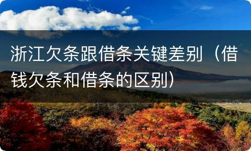 浙江欠条跟借条关键差别（借钱欠条和借条的区别）