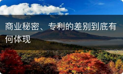 商业秘密、专利的差别到底有何体现