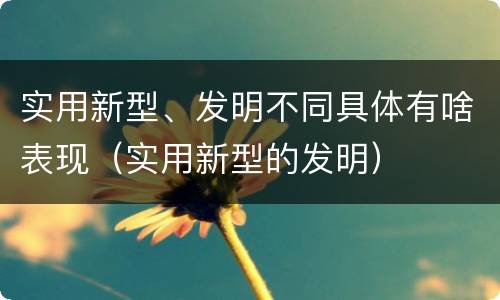实用新型、发明不同具体有啥表现（实用新型的发明）