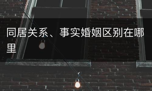 同居关系、事实婚姻区别在哪里