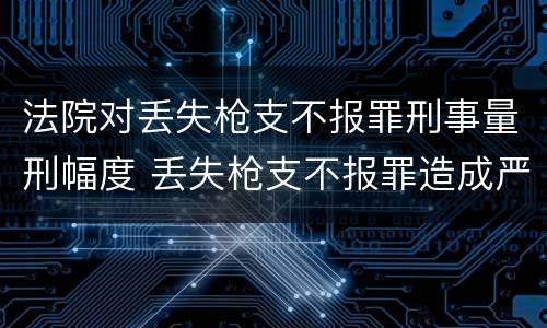 法院对丢失枪支不报罪刑事量刑幅度 丢失枪支不报罪造成严重后果