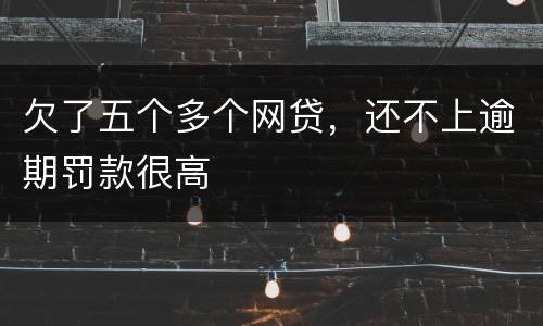 欠了五个多个网贷，还不上逾期罚款很高