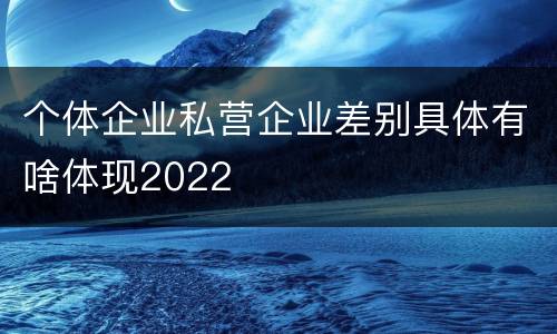 个体企业私营企业差别具体有啥体现2022