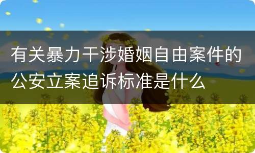 有关暴力干涉婚姻自由案件的公安立案追诉标准是什么