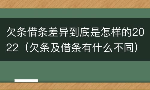 欠条借条差异到底是怎样的2022（欠条及借条有什么不同）