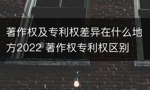 著作权及专利权差异在什么地方2022 著作权专利权区别