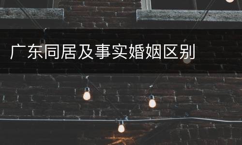 广东同居及事实婚姻区别