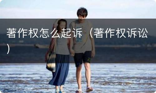 著作权怎么起诉（著作权诉讼）