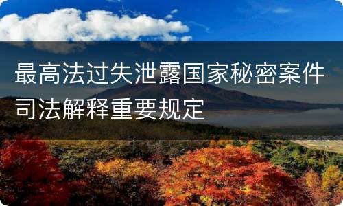 最高法过失泄露国家秘密案件司法解释重要规定