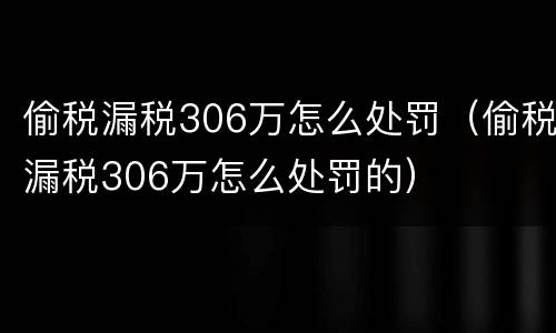 偷税漏税306万怎么处罚（偷税漏税306万怎么处罚的）