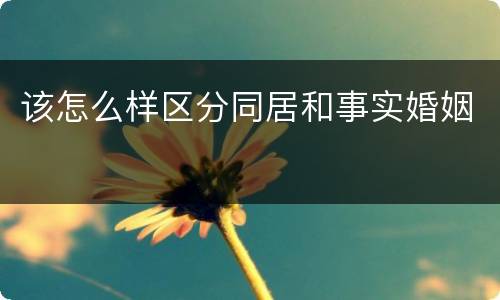 该怎么样区分同居和事实婚姻