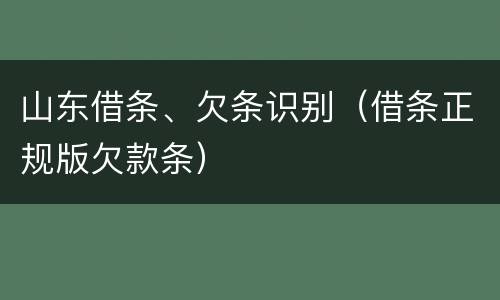 山东借条、欠条识别（借条正规版欠款条）