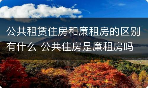 公共租赁住房和廉租房的区别有什么 公共住房是廉租房吗