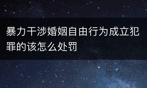 暴力干涉婚姻自由行为成立犯罪的该怎么处罚