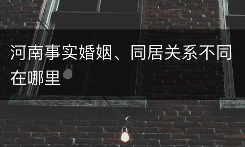 河南事实婚姻、同居关系不同在哪里