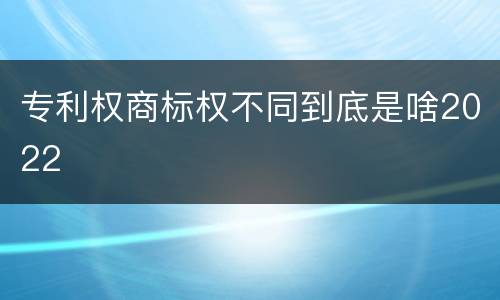 专利权商标权不同到底是啥2022