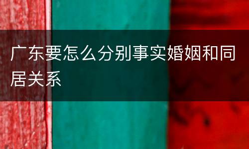 广东要怎么分别事实婚姻和同居关系