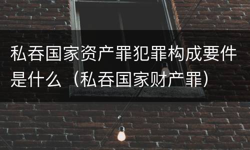 私吞国家资产罪犯罪构成要件是什么（私吞国家财产罪）