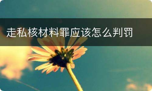 走私核材料罪应该怎么判罚