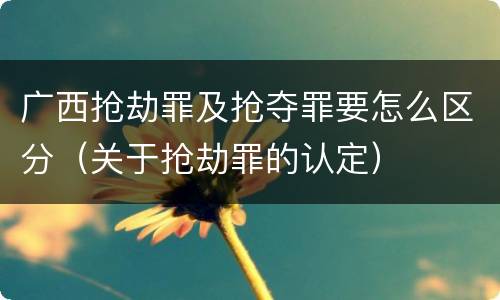 广西抢劫罪及抢夺罪要怎么区分（关于抢劫罪的认定）