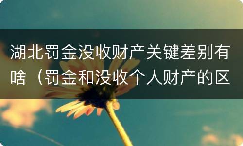 湖北罚金没收财产关键差别有啥（罚金和没收个人财产的区别）